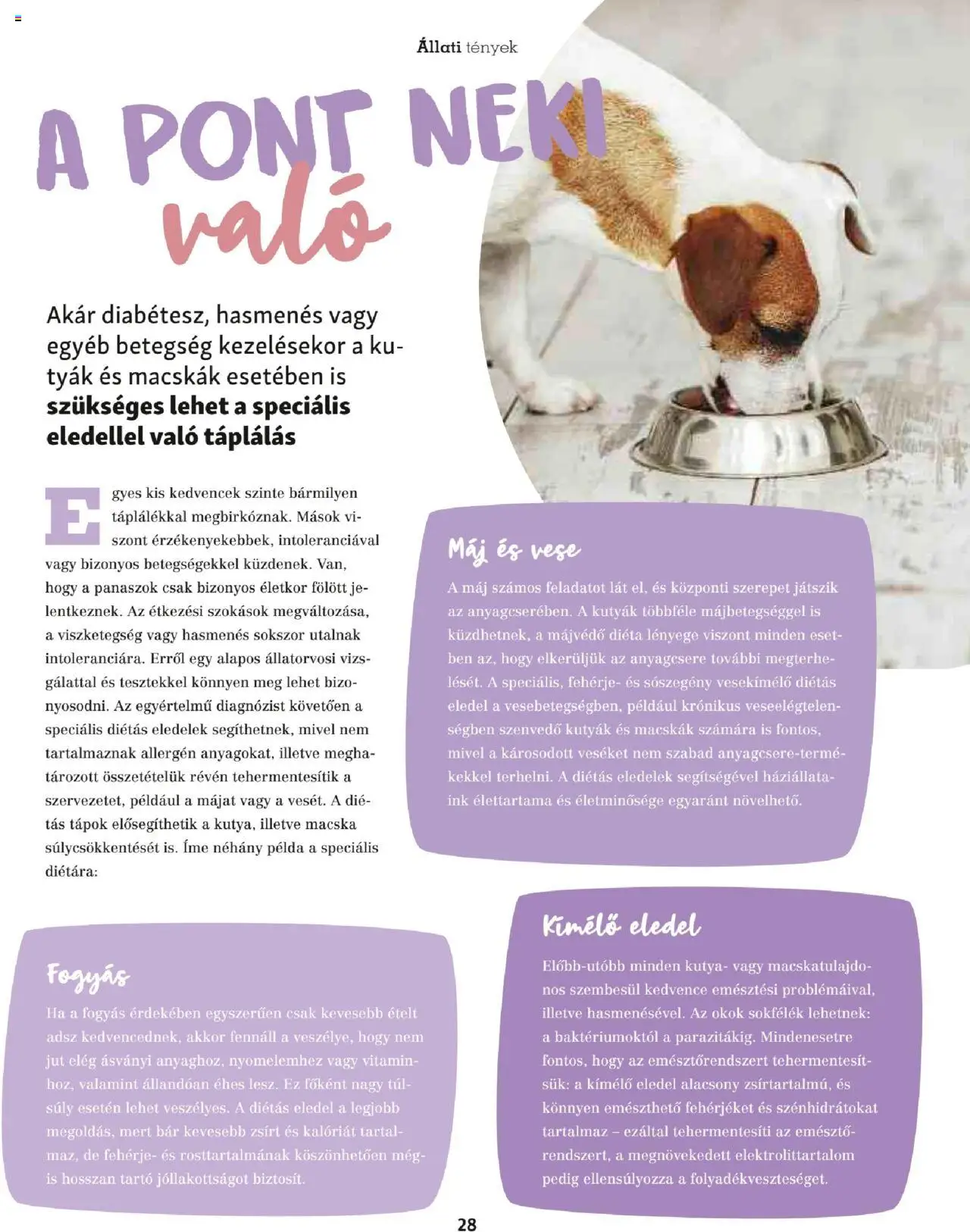 Fressnapf akciós ujság - amely érvényes a következő dátumtól: 05.05.2025 | Oldal: 28 | Termékek: Fehérje