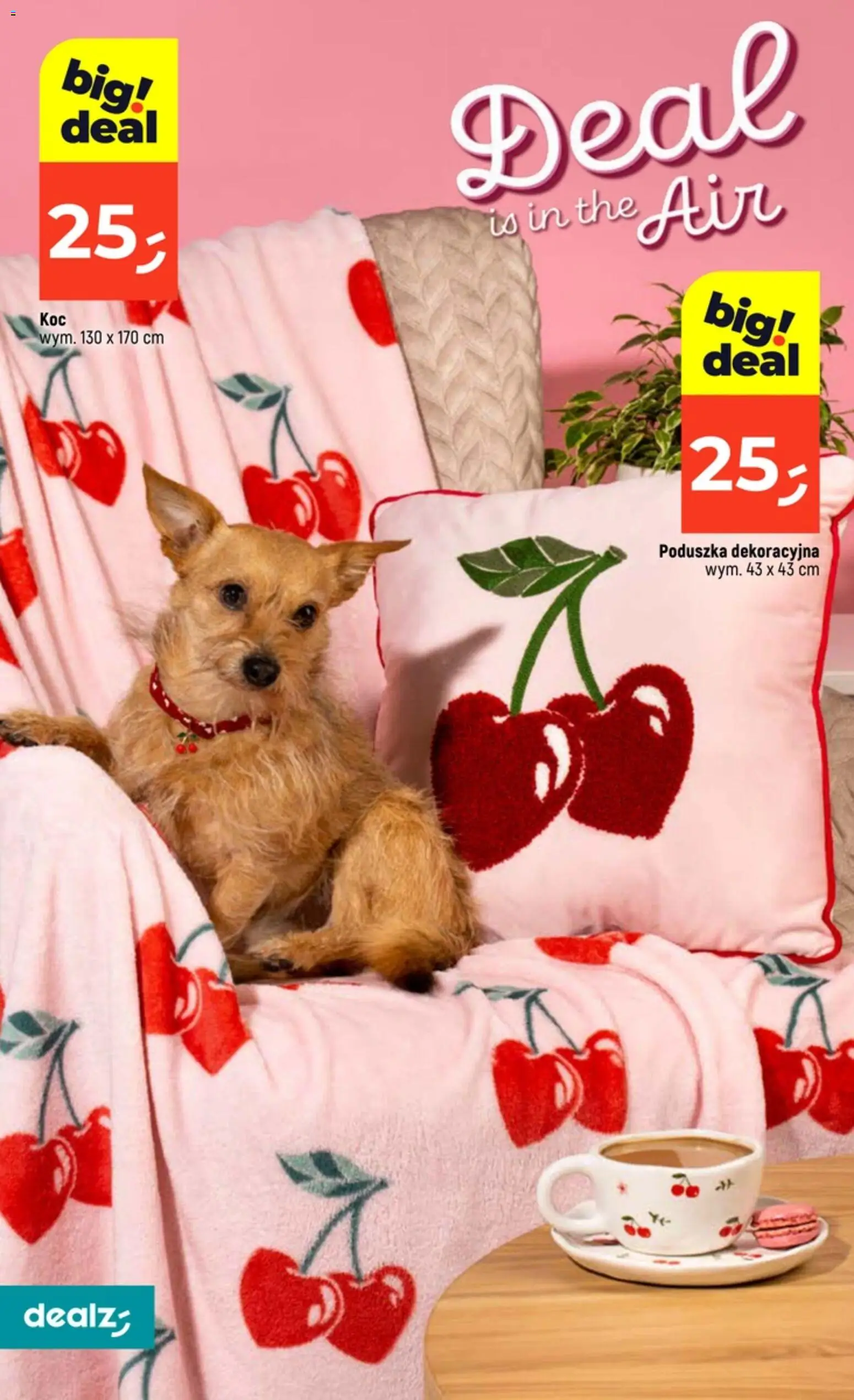 Dealz Gazetka od 29.01.2026 | Strona: 20