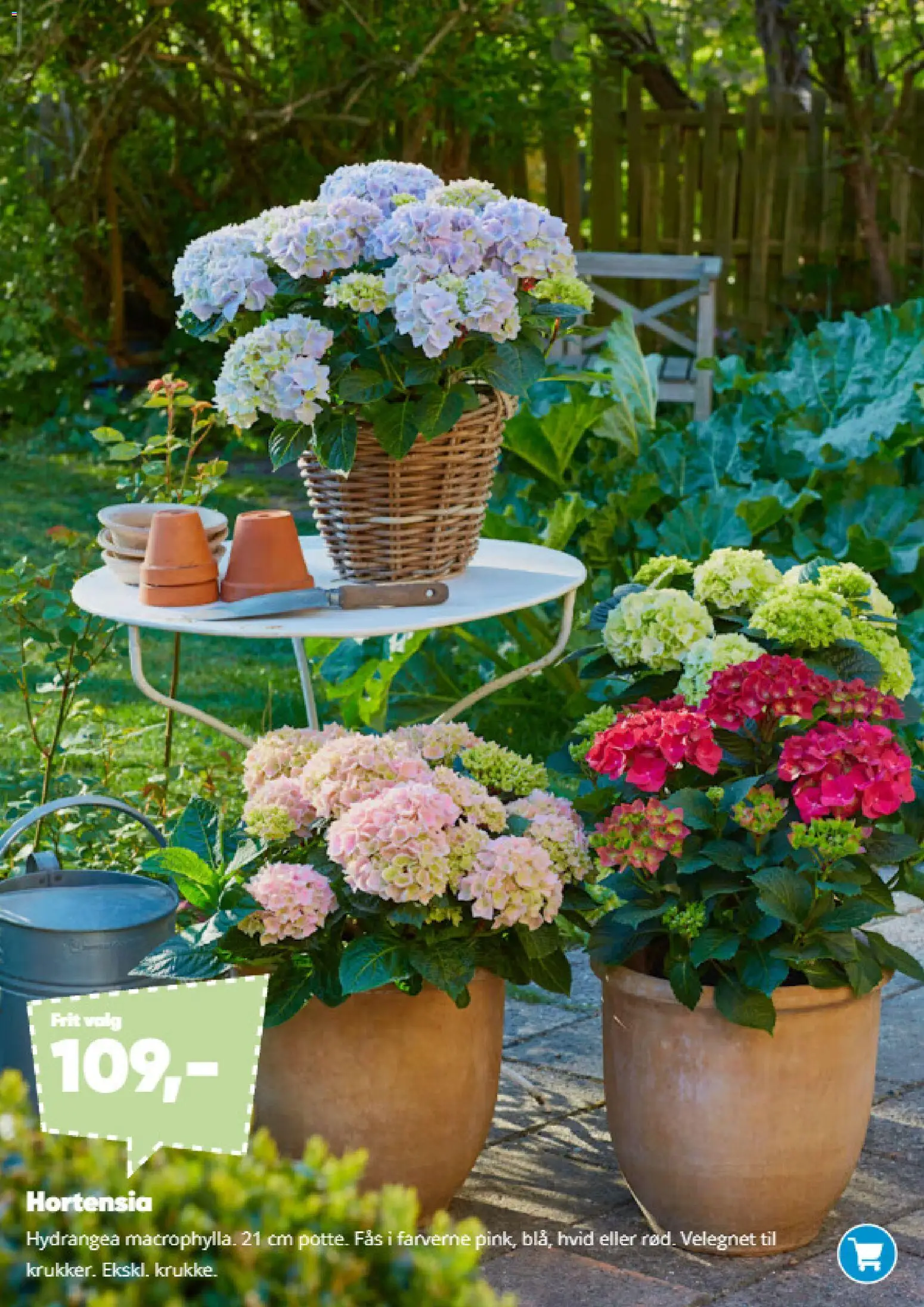 Bilka tilbudsavis – gyldig fra 09.03.2026 | Side: 3