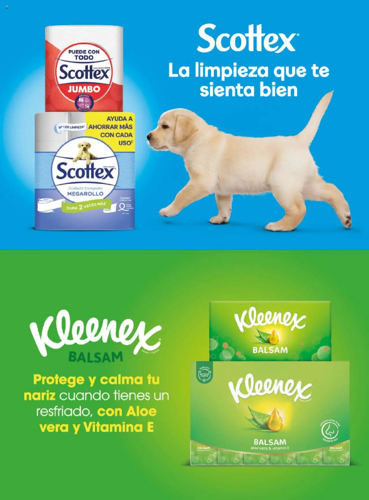 Costco catálogo │ válido desde el 03.07.2025 | Página: 134 | Productos: Té