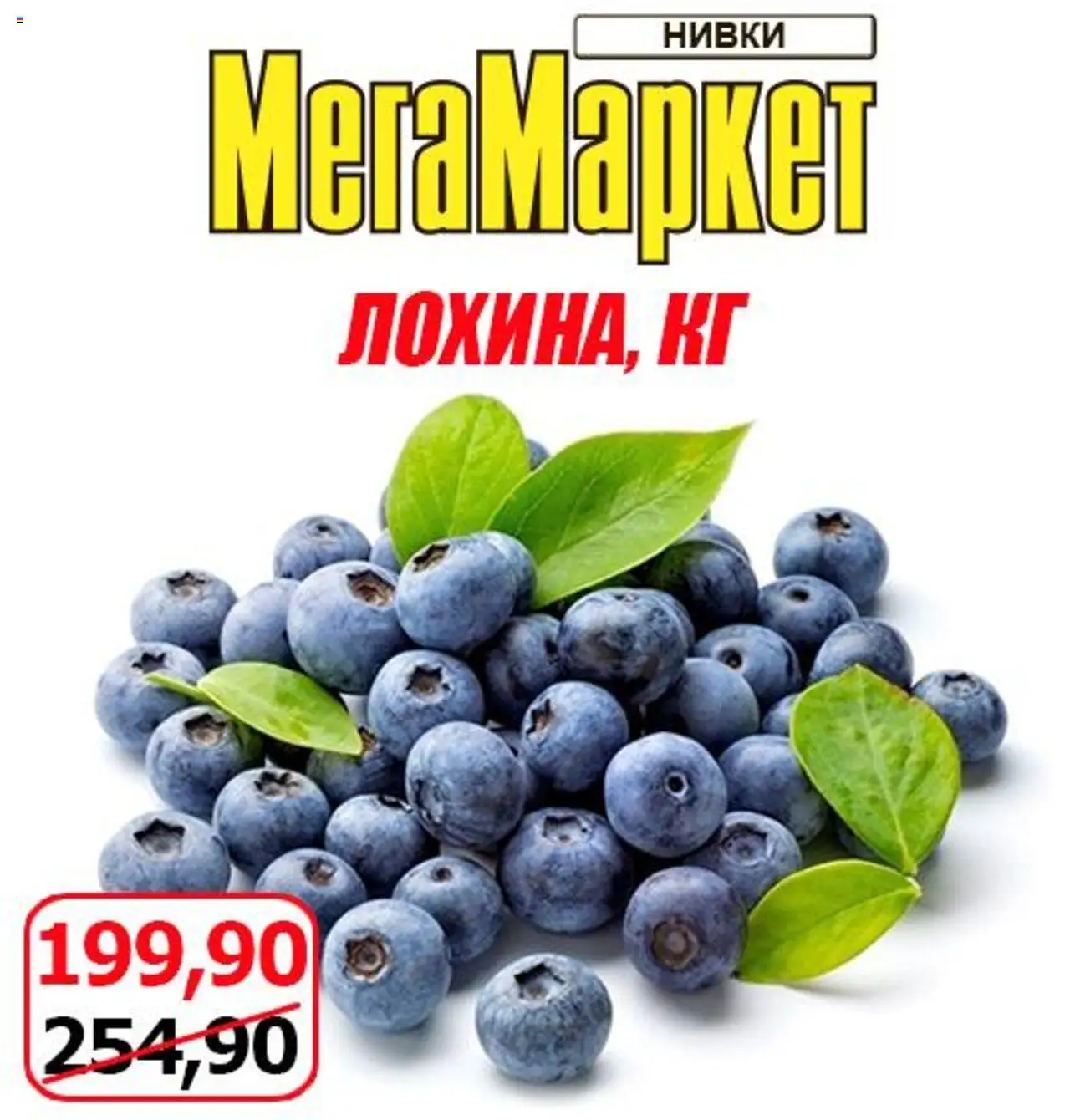 Мегамаркет Kаталог - дійснийкції з 01.08.2025 | Сторінка: 3