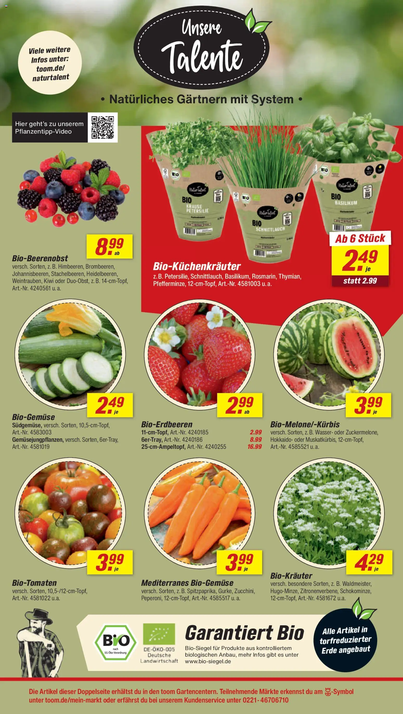 Toom Baumarkt Prospekt 	 – gültig ab 25.04.2026 | Seite: 6 | Produkte: Wasser, Petersilie, Kiwi