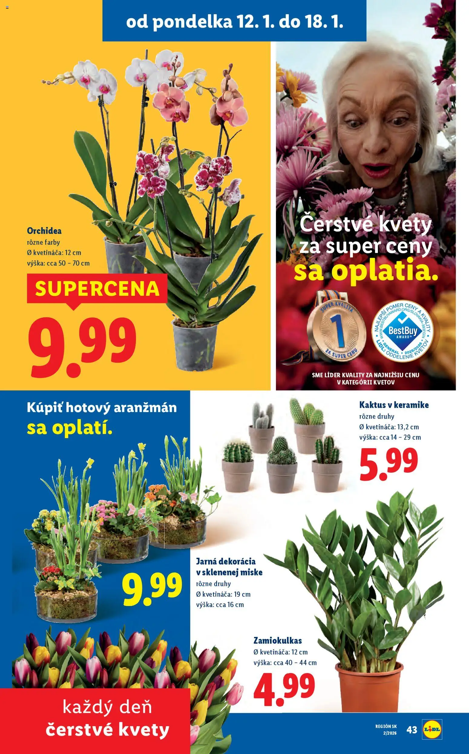 Nové Lidl akcie – leták je platný od 15.01.2026 | Strana: 69 | Produkty: Kvety, Orchidea