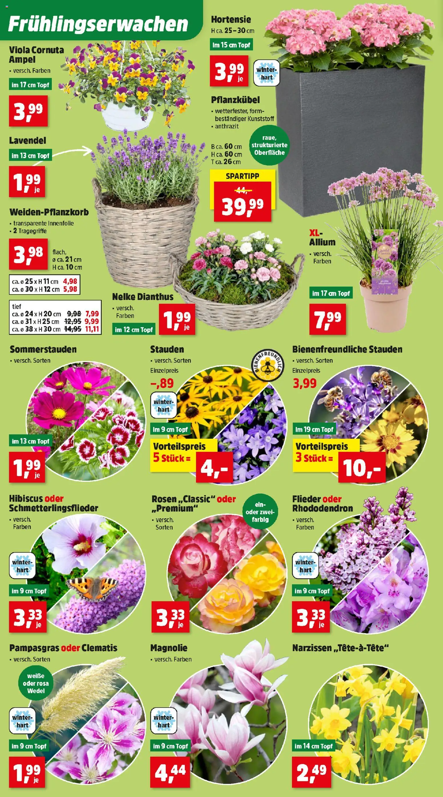 Thomas Philipps Flugblatt gültig ab 23.03.2026 | Seite: 4