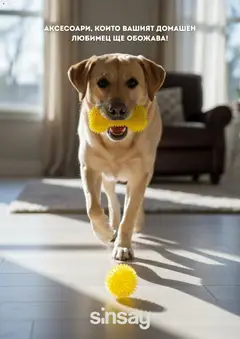 Преглед на Sinsay брошура - Офертите са валидни от 17.04.2026