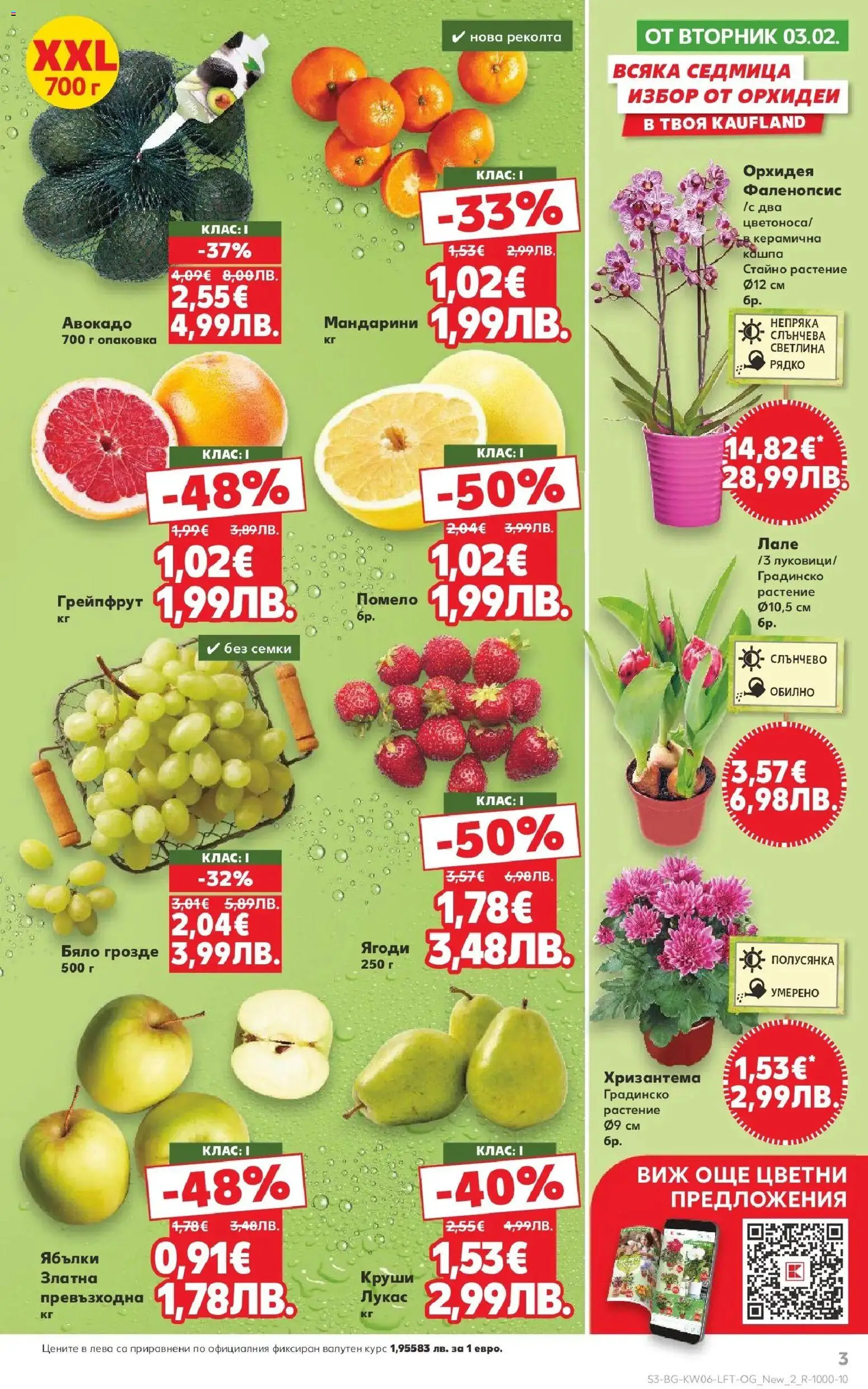 {H1} | Страница: 3 | Продукти: Кашпа, Авокадо, Ябълки, Круши