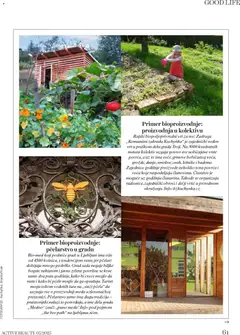 DM Drogerie active Beauty  - pregled DM Drogerie kataloga - važi od 08.12.2025 | Strana: 61 | Proizvode: Cvece