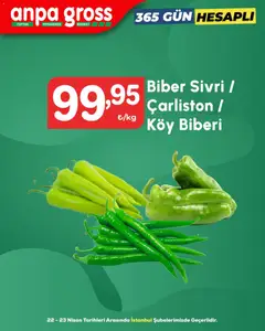22.04.2026 tarihinden itibaren geçerli olan Anpa Gross kataloğu önizlemesi