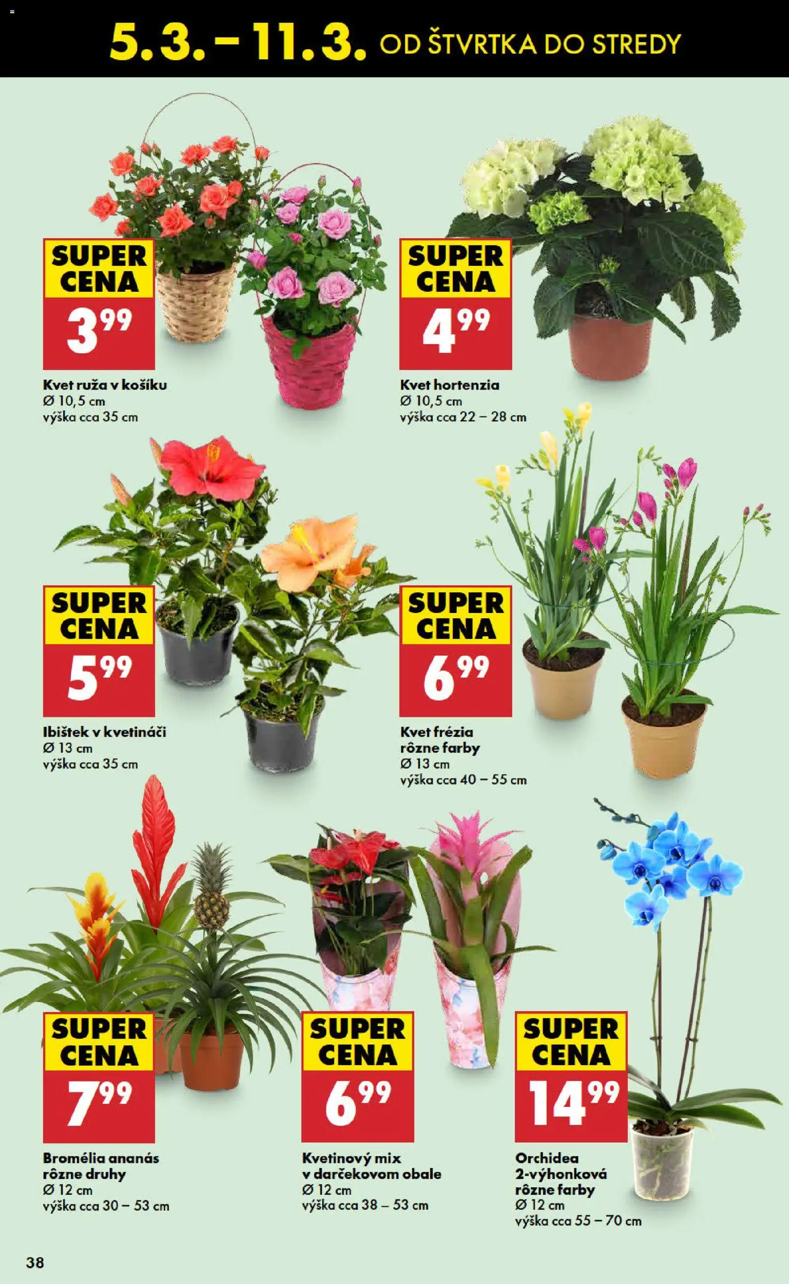 Nové Biedronka akcie – leták je platný od 05.03.2026 | Strana: 38 | Produkty: Ananás, Orchidea