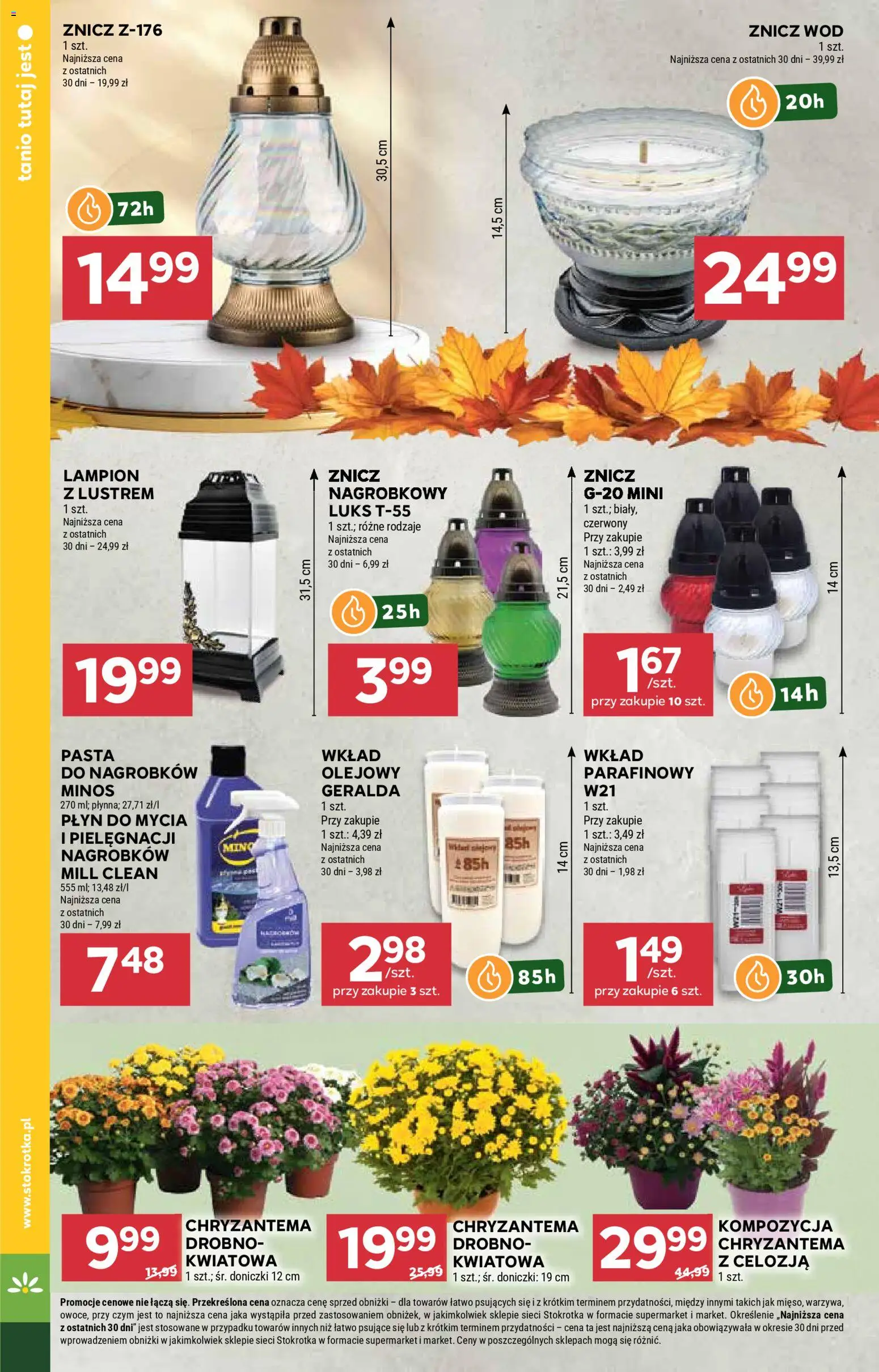 Stokrotka Gazetka - Market od 23.10.2025 | Strona: 16 | Produkty: Stokrotka, Doniczki