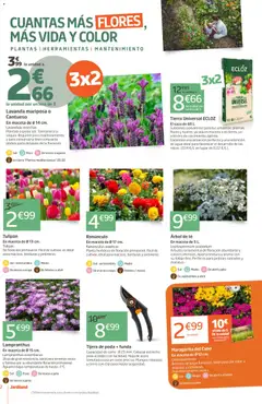 Vista previa Jardiland folleto válido desde el 05.03.2026 | Página: 2 | Productos: Tijera de poda, Té, Funda, Maceta