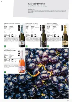 Náhled letáku Jip katalog víno 2025 od 01.01.2025 | Strana: 55 | Produkty: Ovoce, Šumivé víno, Pinot Noir, Barvy