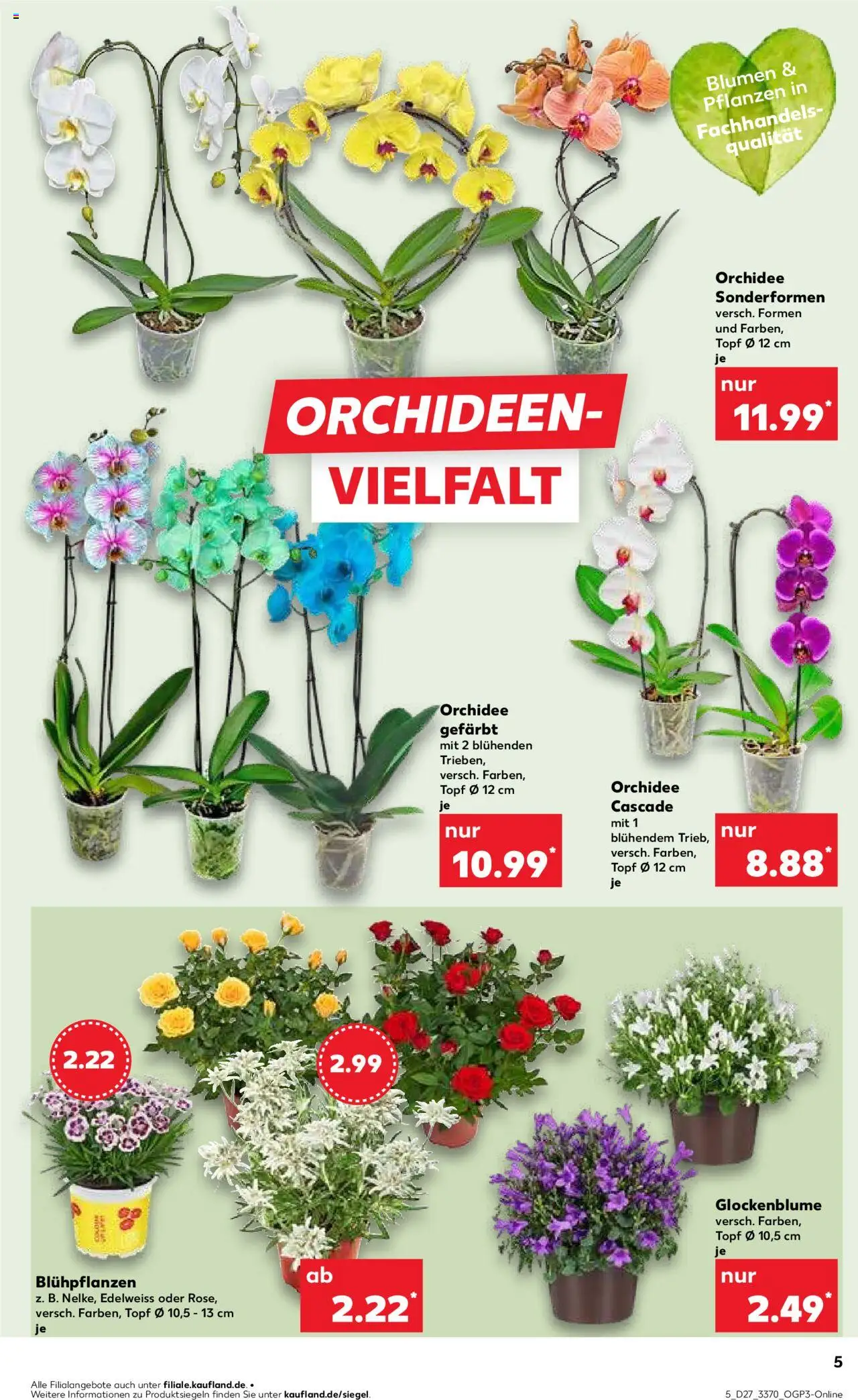 Kaufland Prospekt 	 - gültig ab dem 03.07.2025 | Seite: 5 | Produkte: Orchidee, Blumen