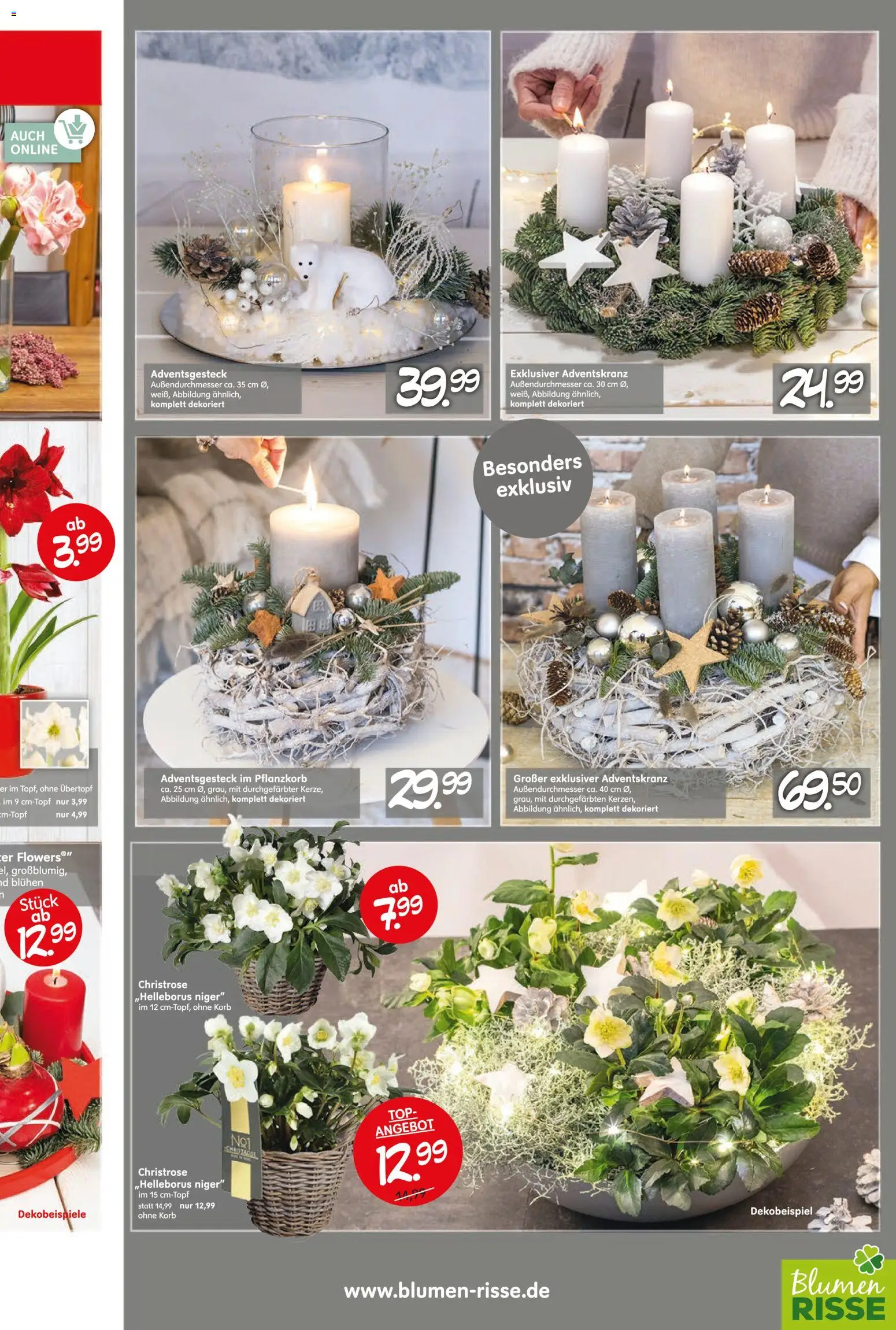 Blumen Risse Prospekt Blumenmärkte – gültig ab 13.11.2025 | Seite: 5 | Produkte: Top, Korb, Blumen