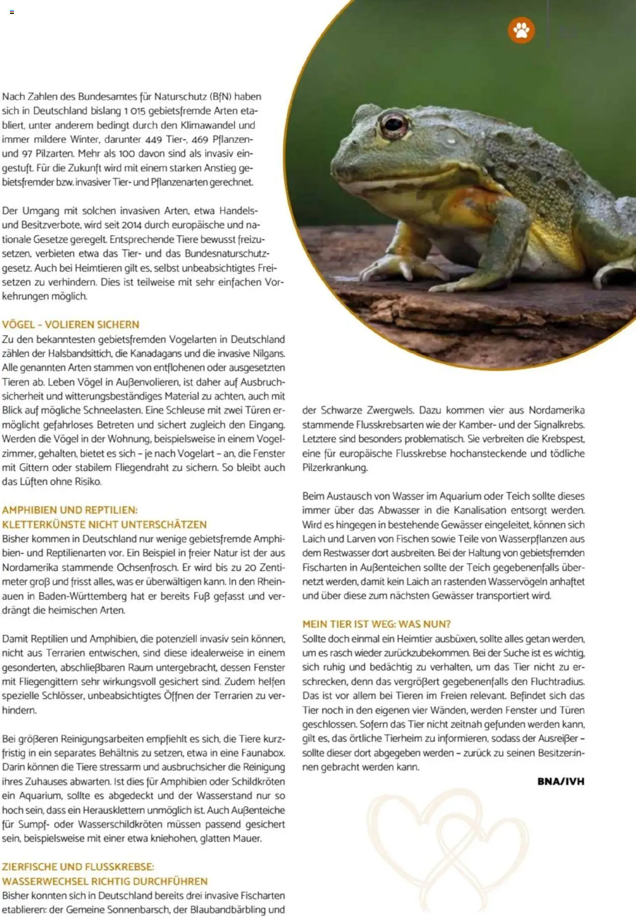 zookauf Heimtier Journal – gültig ab 01.10.2025 | Seite: 53 | Produkte: Wasser