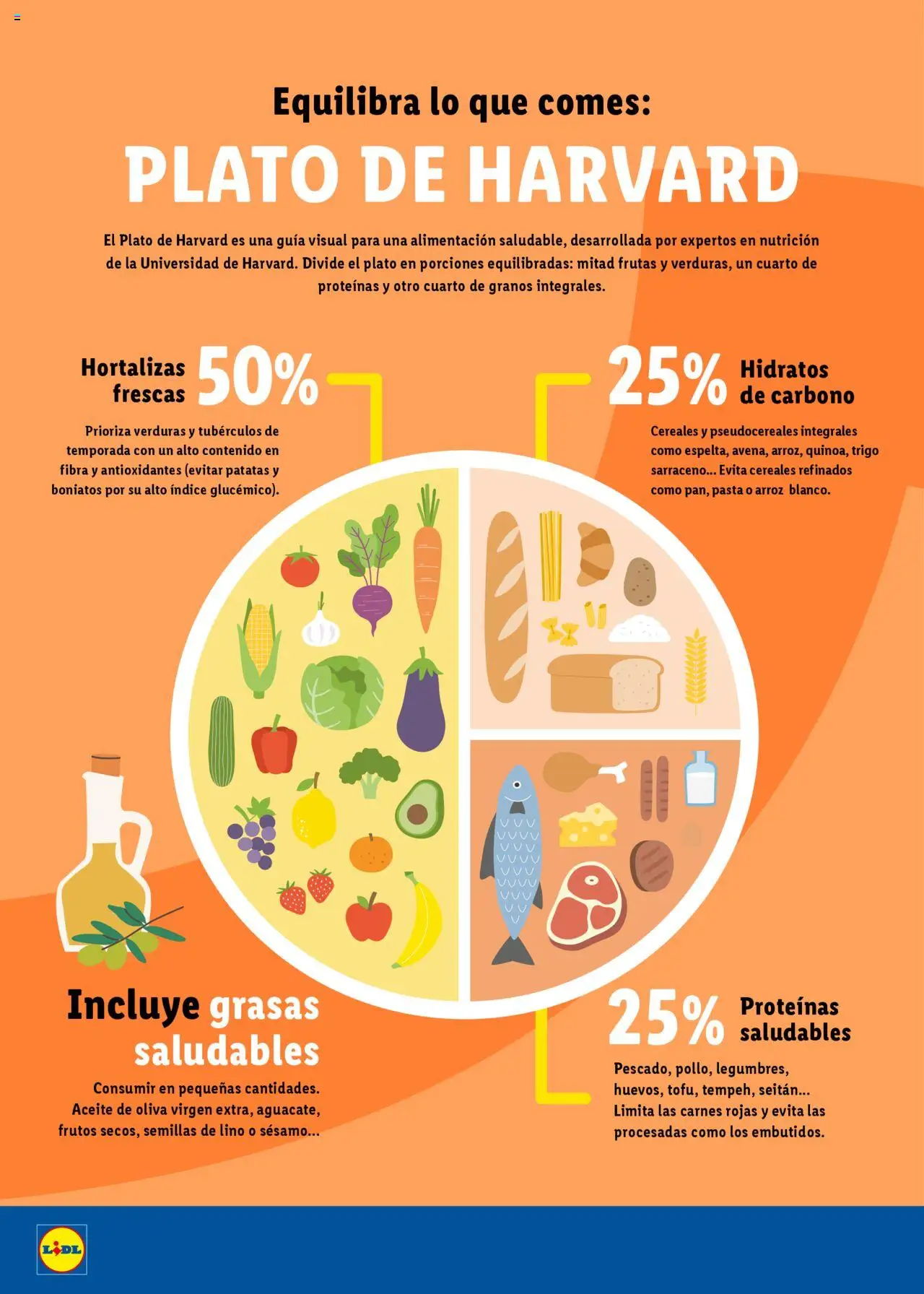 Lidl folleto │ válido desde el 23.06.2025 | Página: 14 | Productos: Arroz, Cereales, Pasta, Aceite de oliva