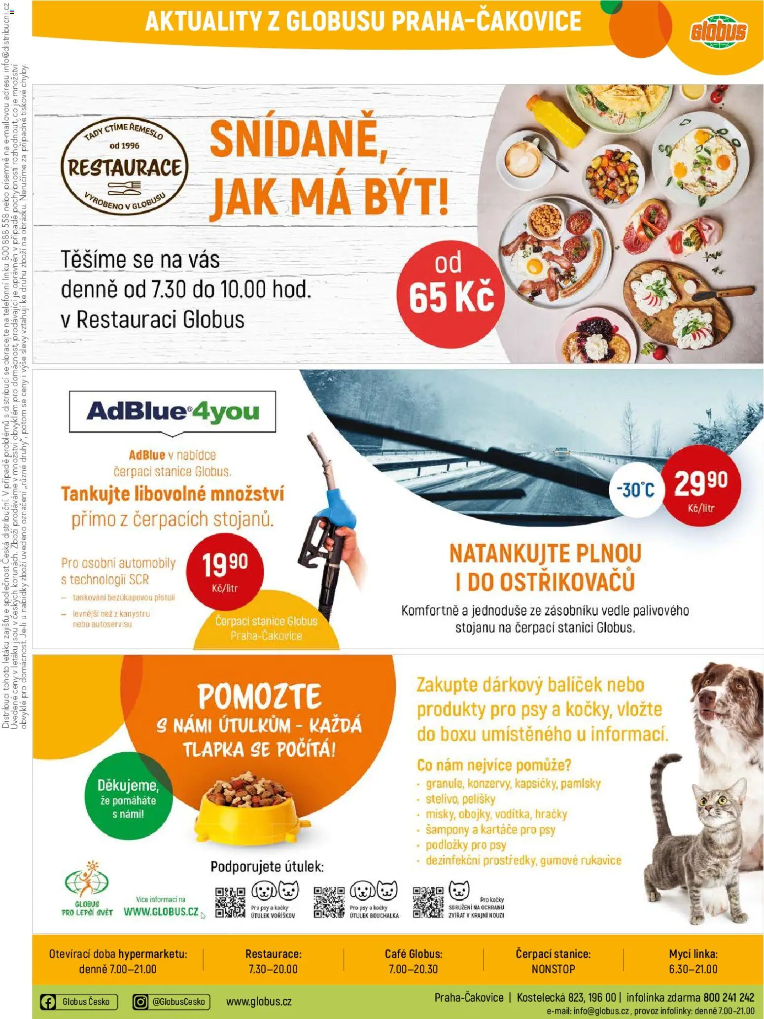 Globus leták od 04.02.2026 | Strana: 33 | Produkty: Globus, Rukavice, Hračky, Šampony