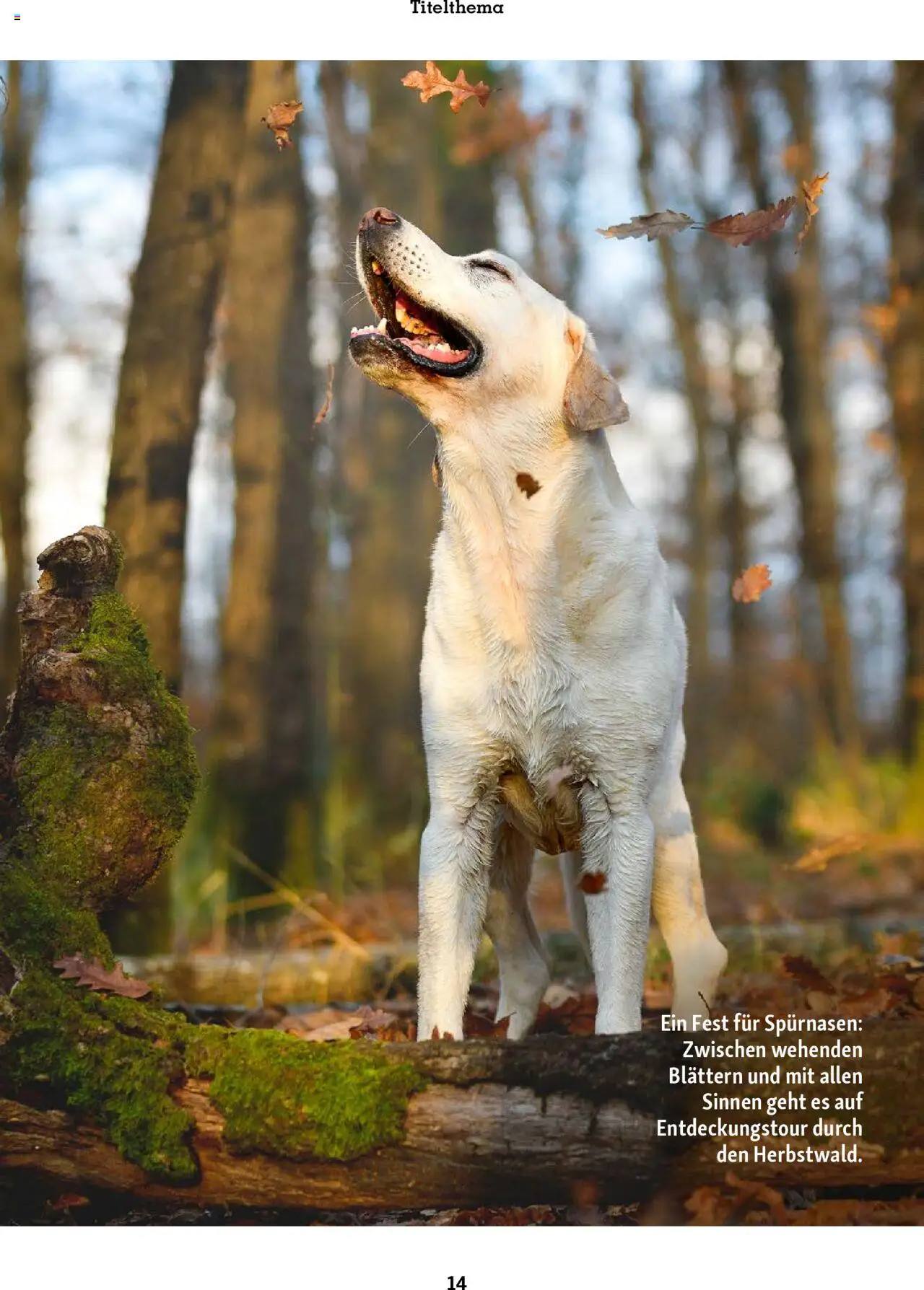 Fressnapf Friends Magazin – gültig ab 01.09.2025 | Seite: 14