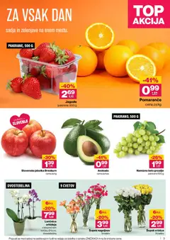 Mercator katalog akcije – veljaven od 26.03.2026 | Stran: 3 | Izdelki: Grozdje, Šopek, Kos, Avokado