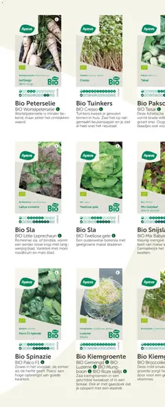 Aveve Groente- en kruidengids - Voorbeeld van een folder van Aveve, geldig van 23.02.2026 | Pagina: 40 | Producten: Kész piskótalap, Sla, Boon, Keukenpapier