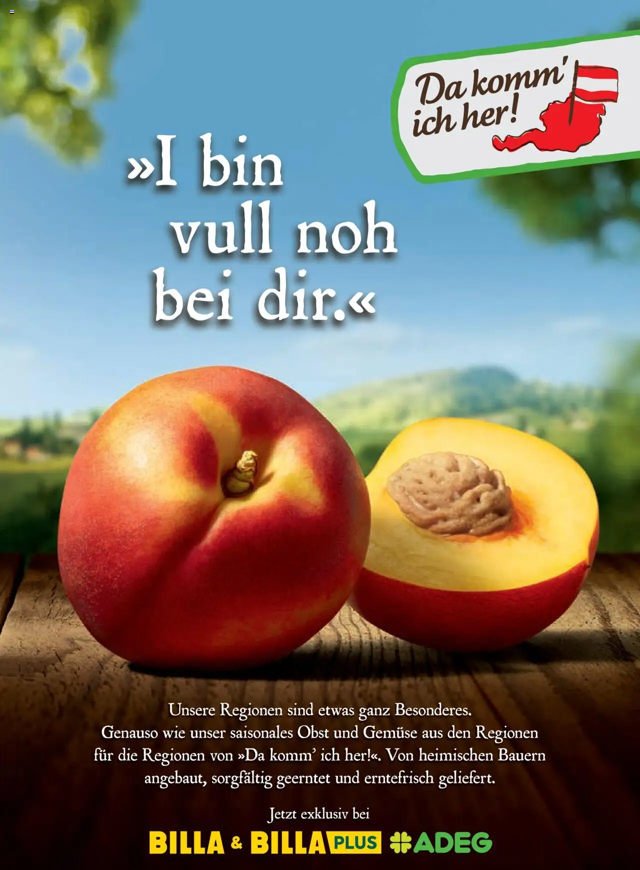 Billa Frisch Gekocht gültig ab 03.07.2025 | Seite: 167 | Produkte: Gemüse, Obst