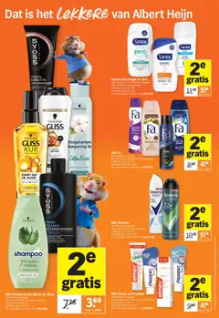  | Pagina: 9