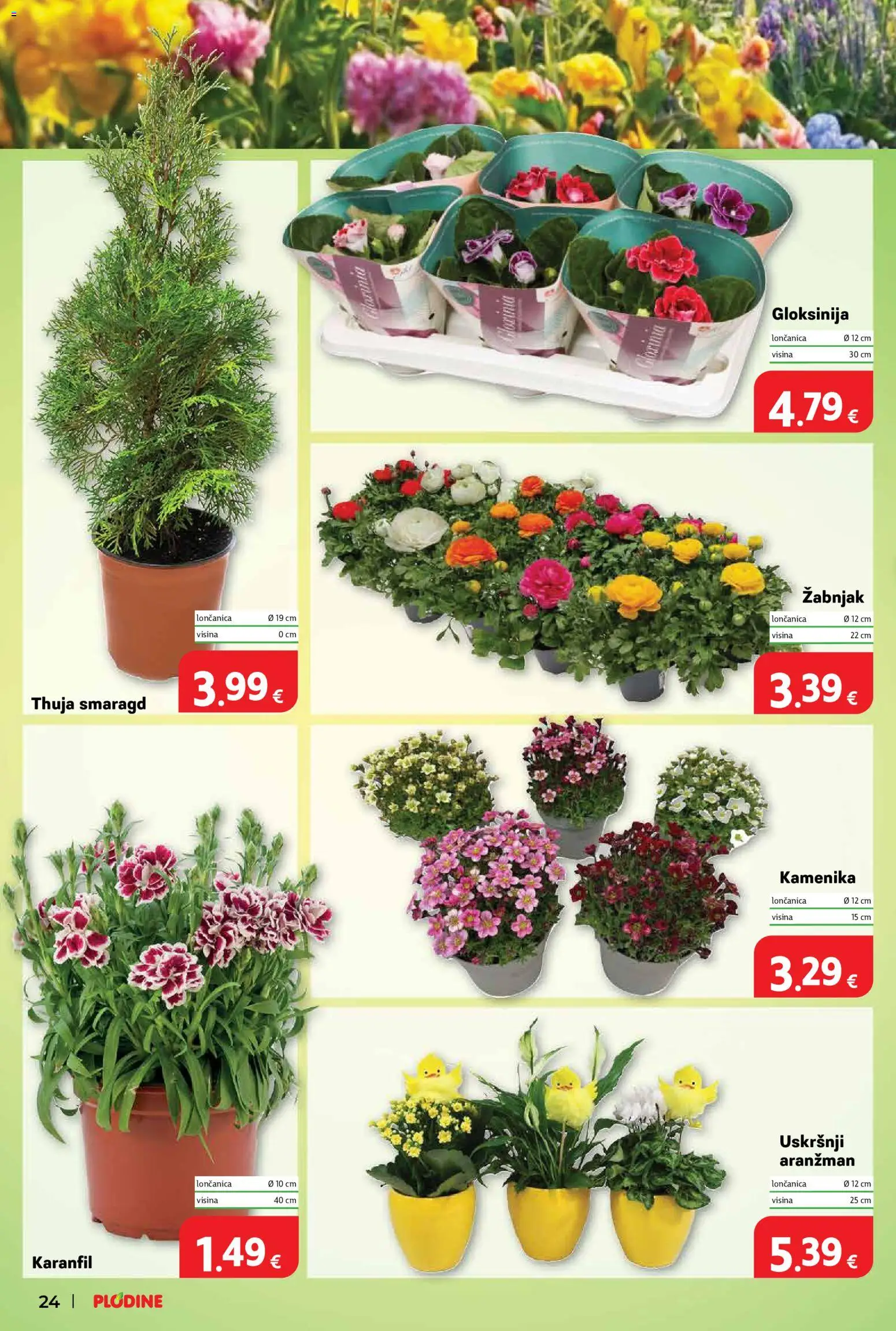 Plodine katalog | vrijedi od 01.04.2026 | Stranica: 32