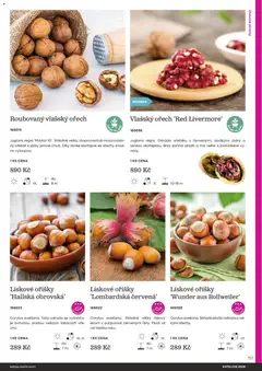 Náhled letáku Starkl katalog od 25.02.2026 | Strana: 117