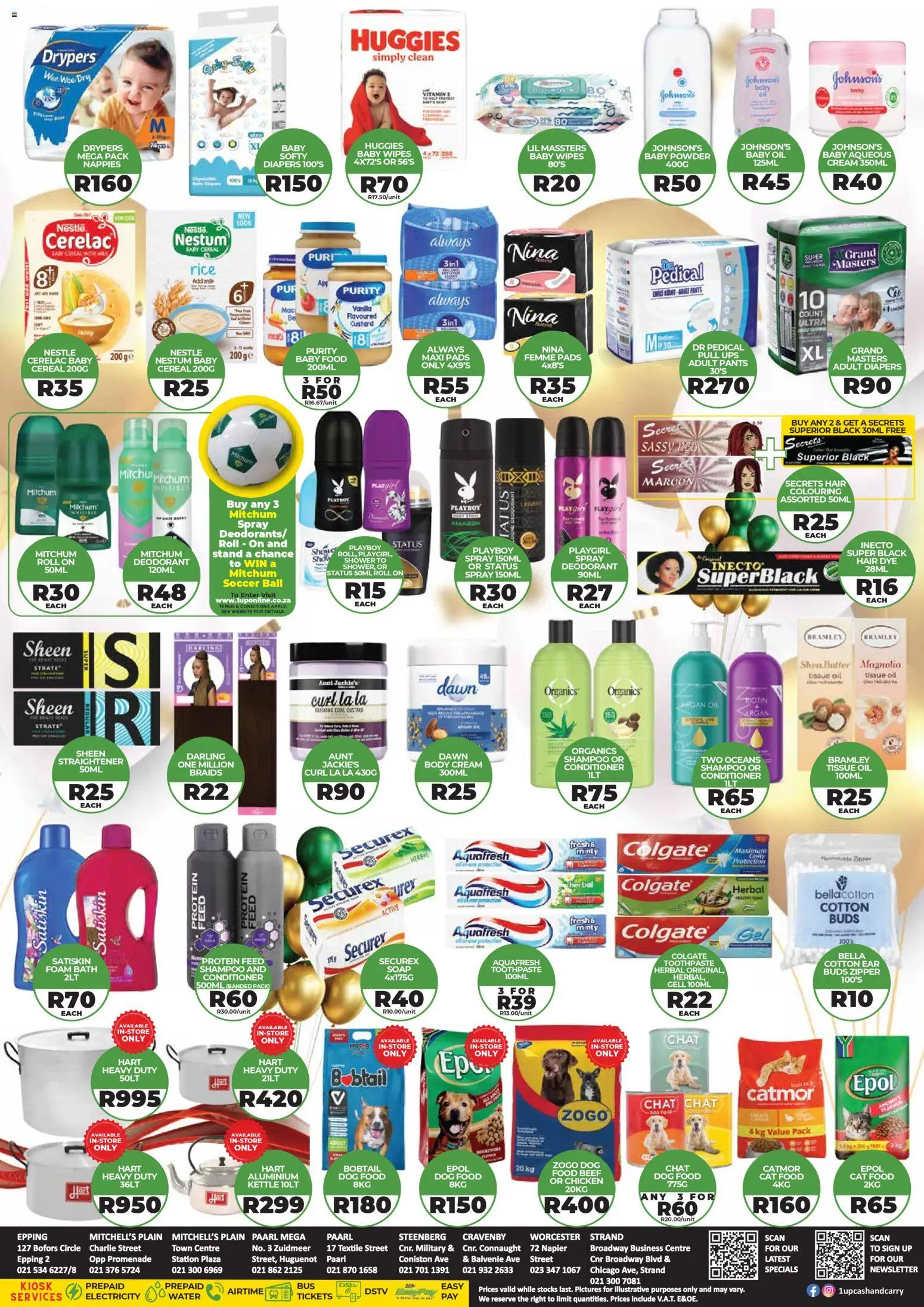 New 1UP Cash & Carry catalogue – valid from 21.11.2025 | Page: 8 | Products: Pads, Powder, Beef, Dog food