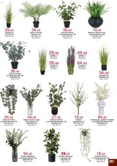 Bodzio Katalog od 01.07.2025 | Strona: 207 | Produkty: Drzewko cytrynowe, Kwiaty