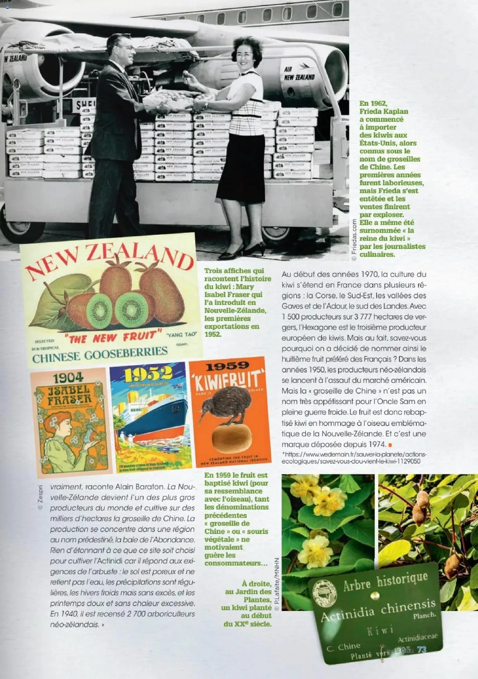 {H1} | Page: 73 | Produits: Souris, Groseille, Mais, Kiwi