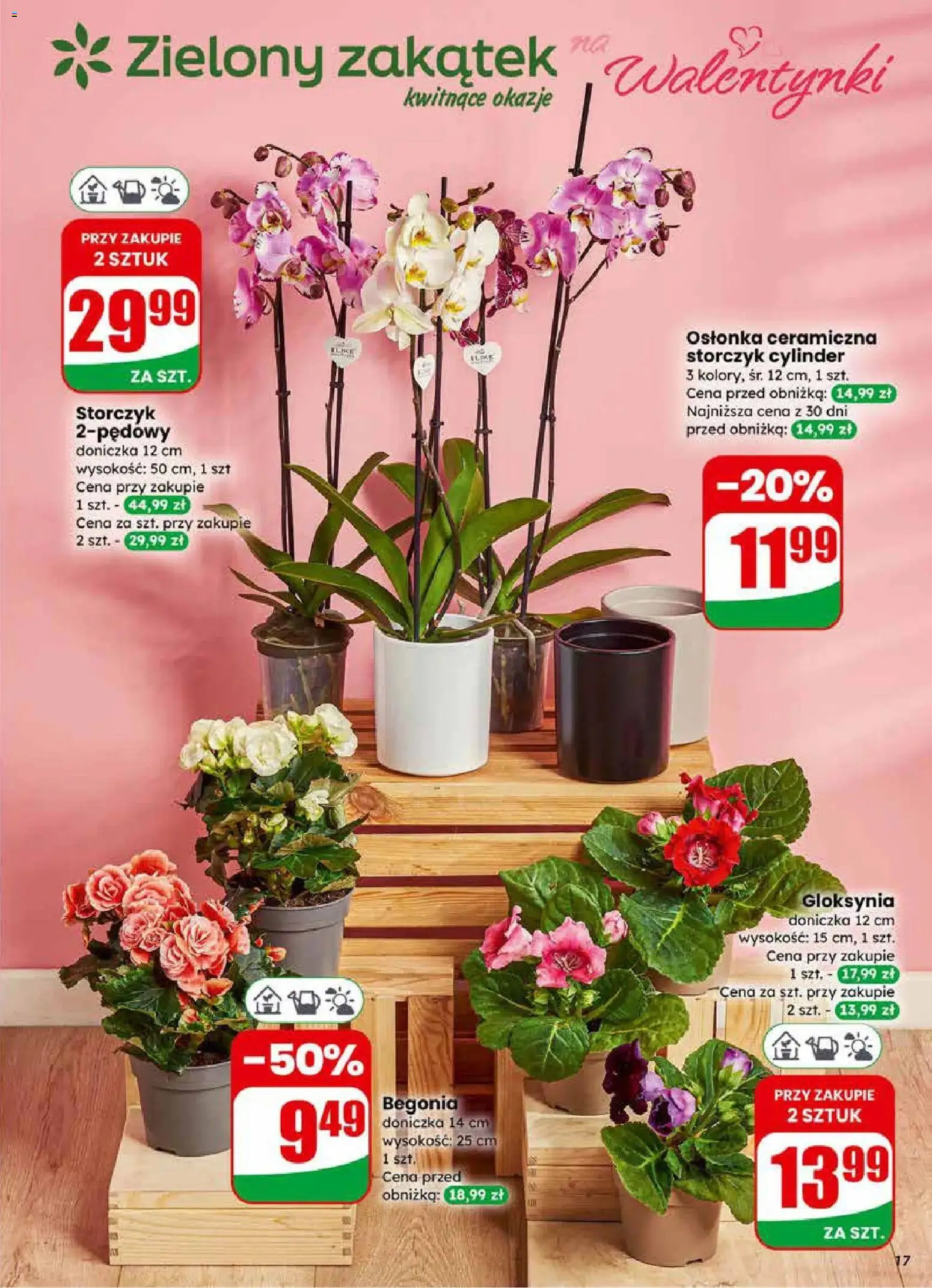 Dino Gazetka od 11.02.2026 | Strona: 17