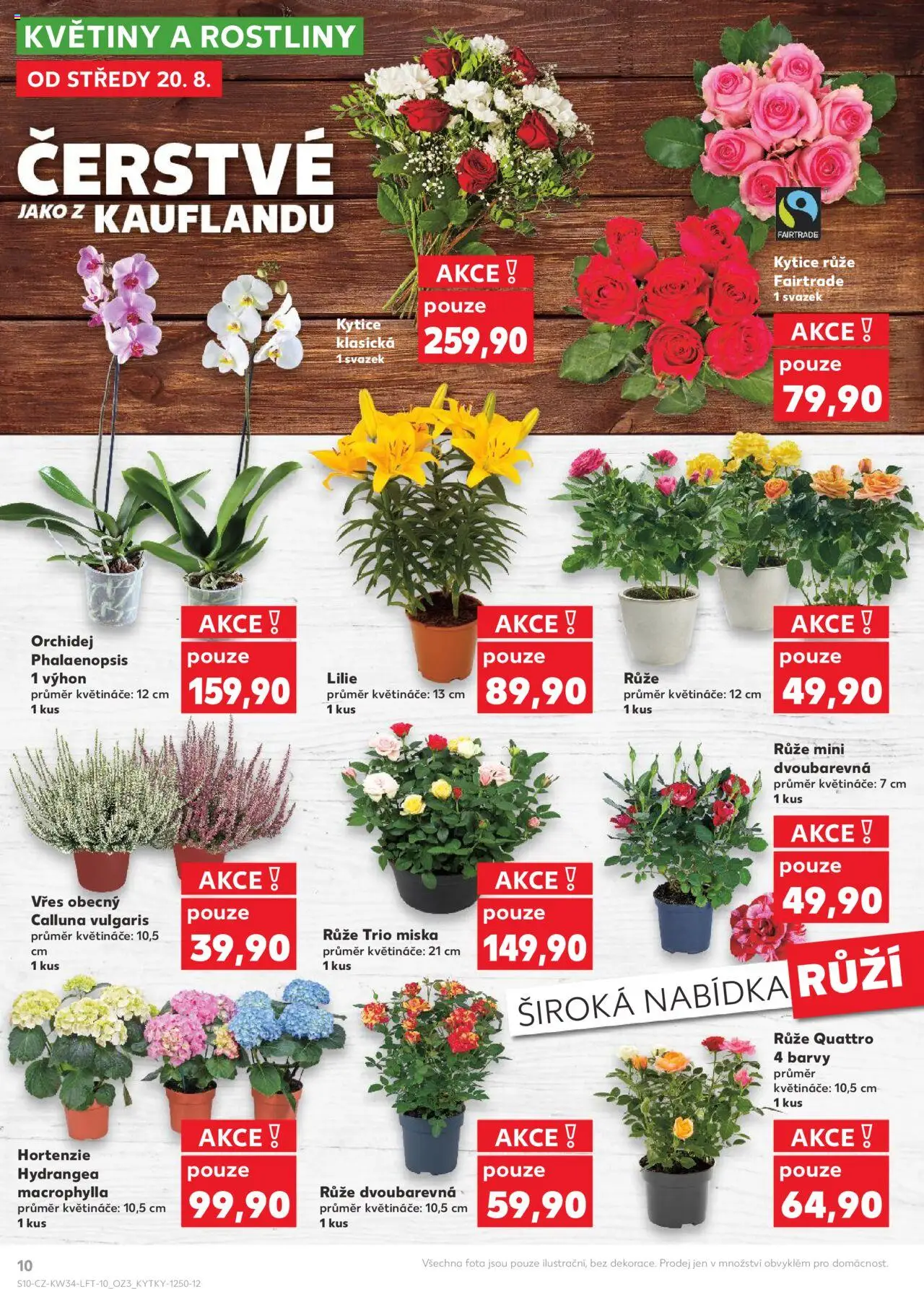 Kaufland leták - Praha 8 od 20.08.2025 | Strana: 10 | Produkty: Orchidej, Květináče, Miska, Barvy