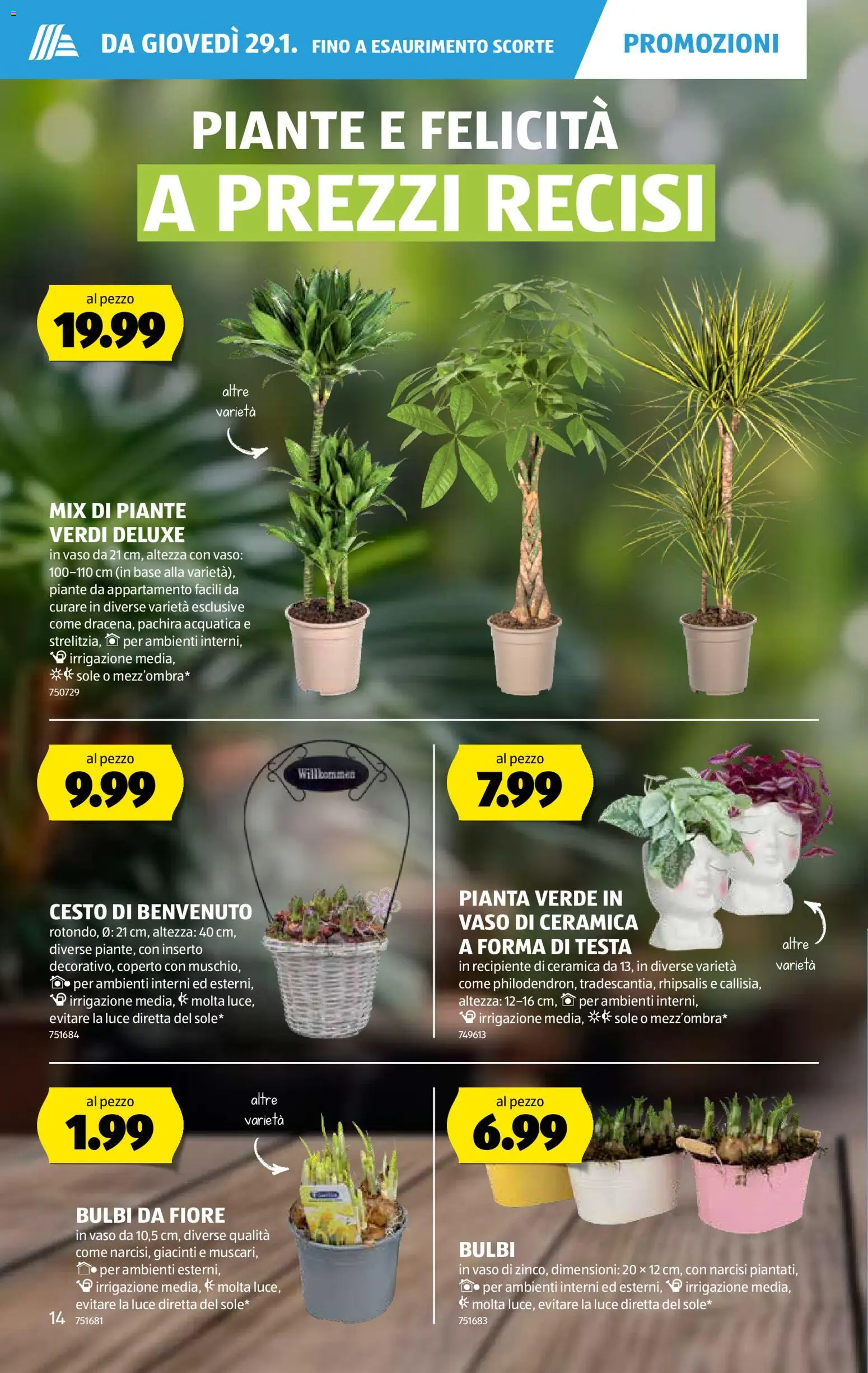 Aldi Aktionen IT – gültig ab 29.01.2026 | Seite: 15