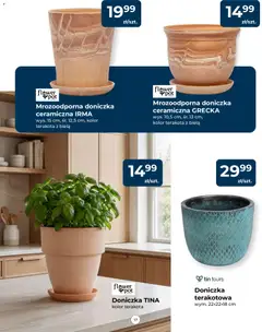 Pogląd oferty "Mrówka gazetka" - ważna od 23.04.2026 | Strona: 17 | Produkty: Doniczka