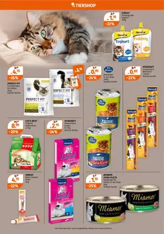 GIMCAT Pudding oder Yoghurt, Pudding oder Yoghurt 150 g ab 05.02.2026 gültig | Seite: 8 | Produkte: Pudding