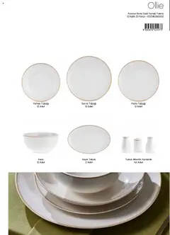 04.09.2025 tarihinden itibaren geçerli olan Karaca kataloğu önizlemesi | Sayfa: 67 | Ürünler: Kaşe, Yemek takımı