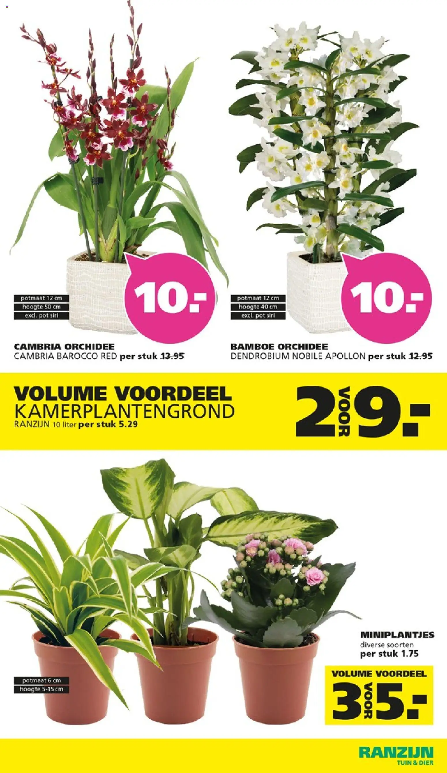 {H1} | Pagina: 4 | Producten: Pot