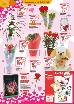 Náhled letáku Globus leták od 04.02.2026 | Strana: 14