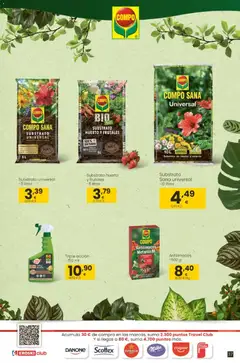 Vista previa Eroski - Qué oasis válido desde el 26.03.2026 | Página: 37