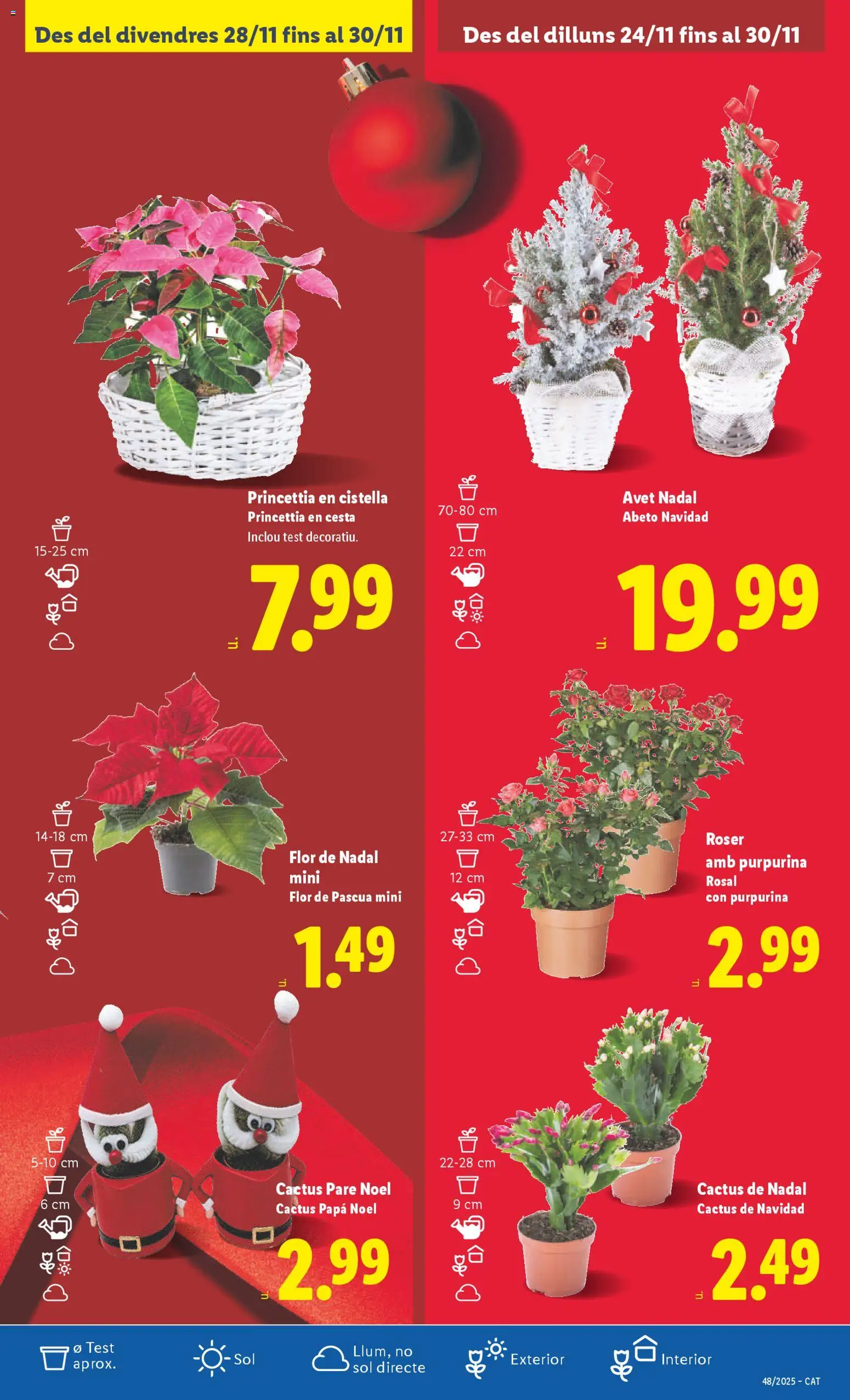 Lidl folleto │ válido desde el 24.11.2025 | Página: 39 | Productos: Cesta