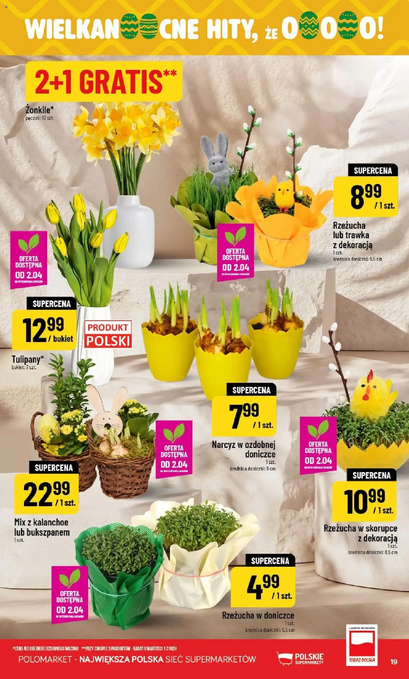 POLOmarket gazetka od 01.04.2026 | Strona: 19 | Produkty: Rzeżucha, Zapach, Doniczki, Kalanchoe