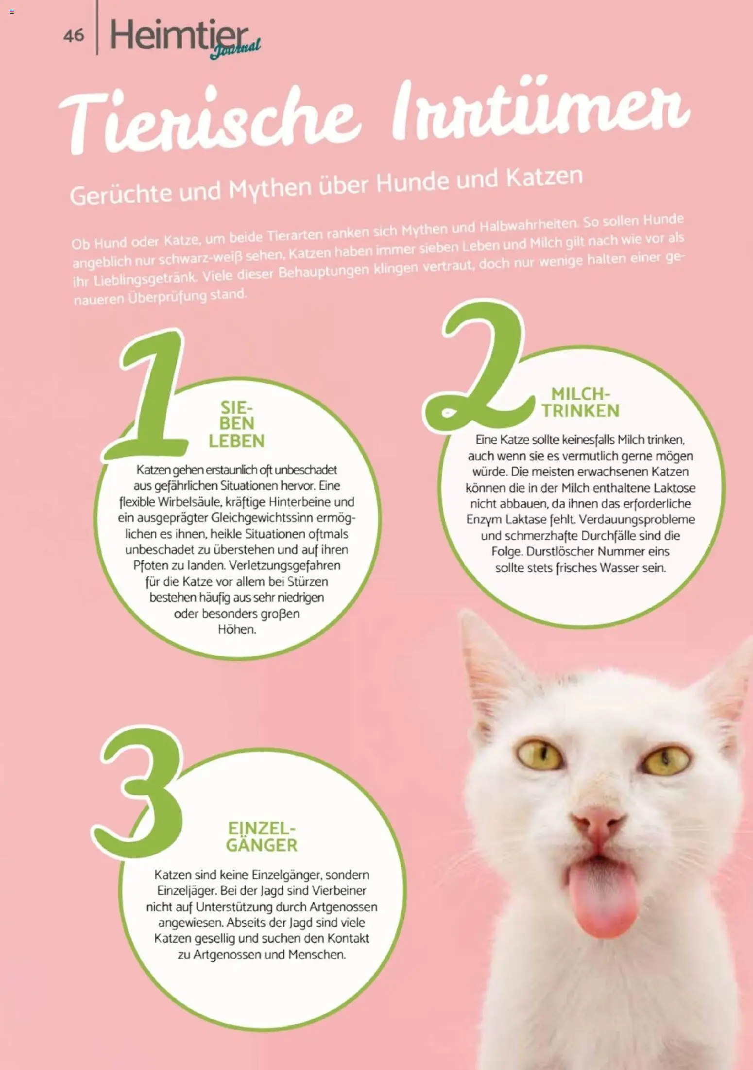 zookauf - Heimtier Journal – gültig ab 01.12.2025 | Seite: 46 | Produkte: Durstloscher, Milch, Wasser