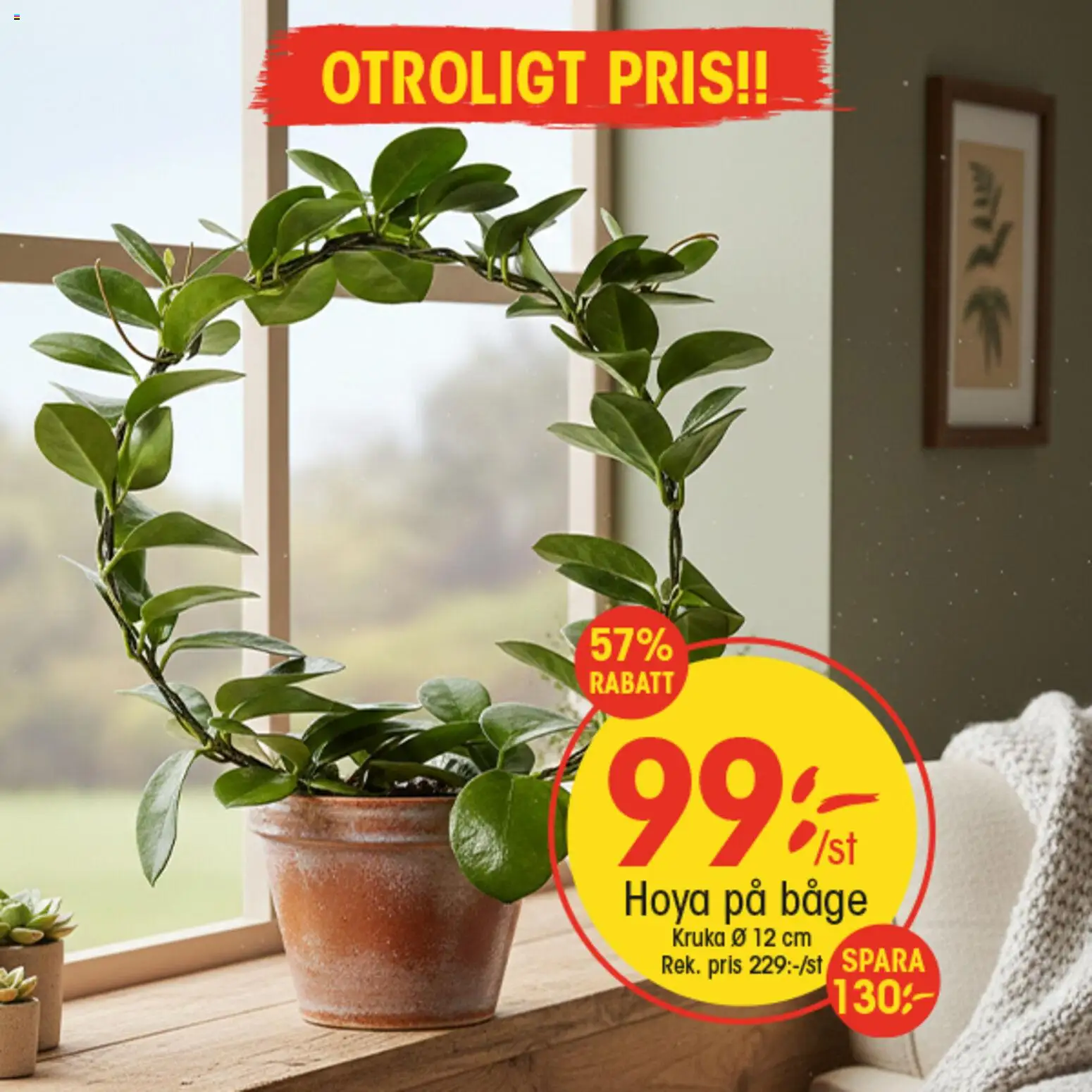 EKO reklamblad aktuell från 28.01.2026 | Sida: 9 | Produkter: Kruka