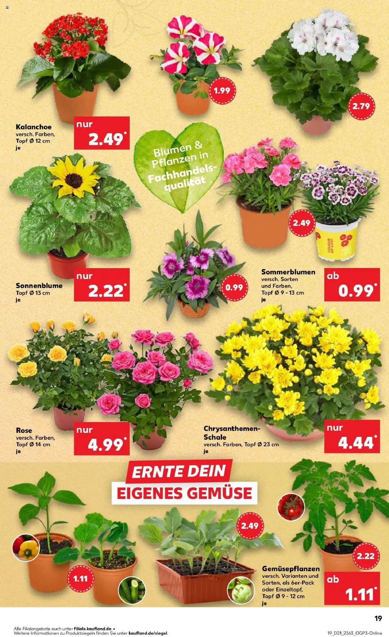 Kaufland prospekt Bad Kreuznach	 - gültig ab dem 22.05.2025 | Seite: 19 | Produkte: Blumen, Gemüse