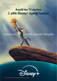 01.01.2026 tarihinden itibaren geçerli olan Arçelik kataloğu önizlemesi | Sayfa: 78 | Ürünler: TV