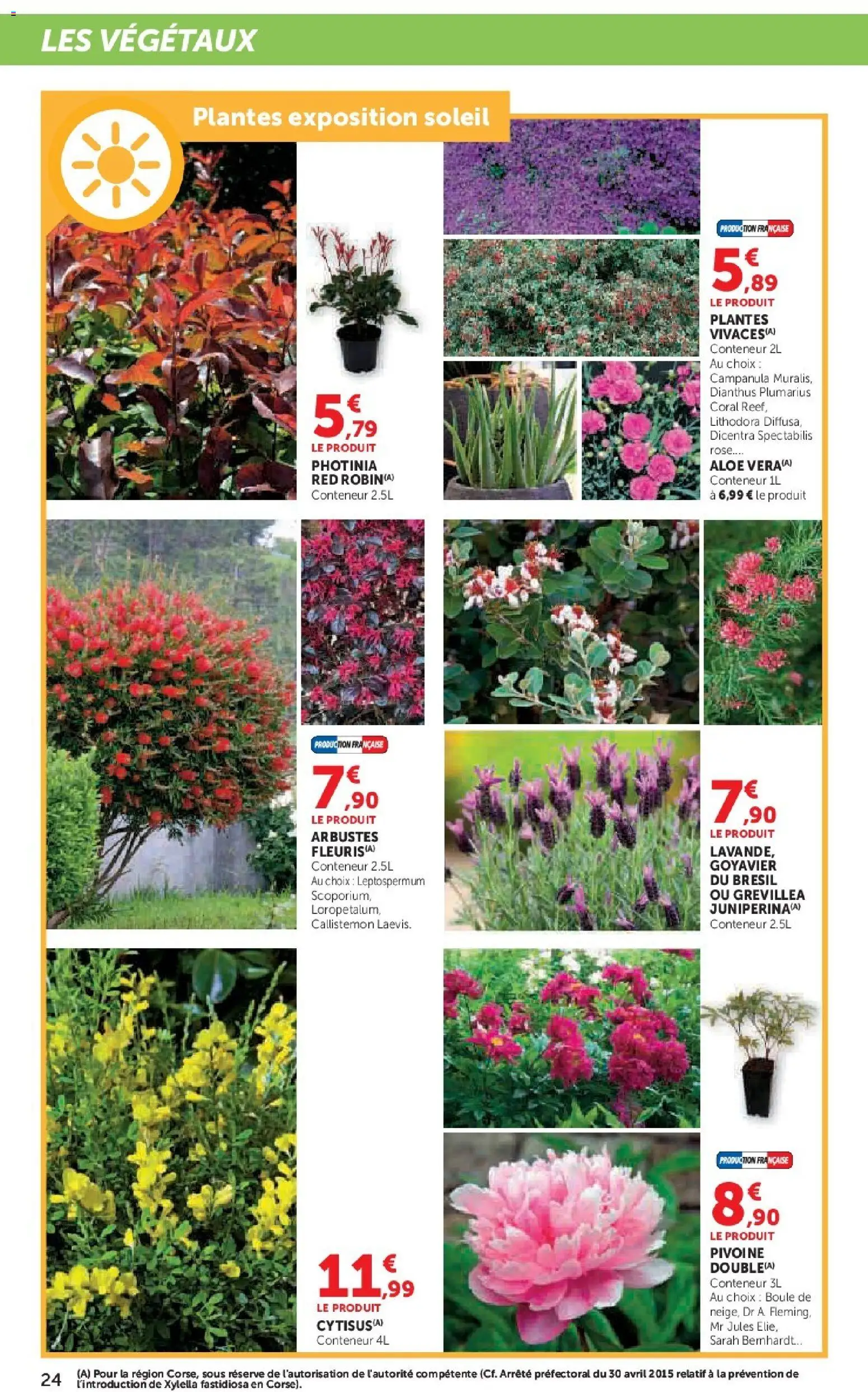 {H1} | Page: 24 | Produits: Plantes