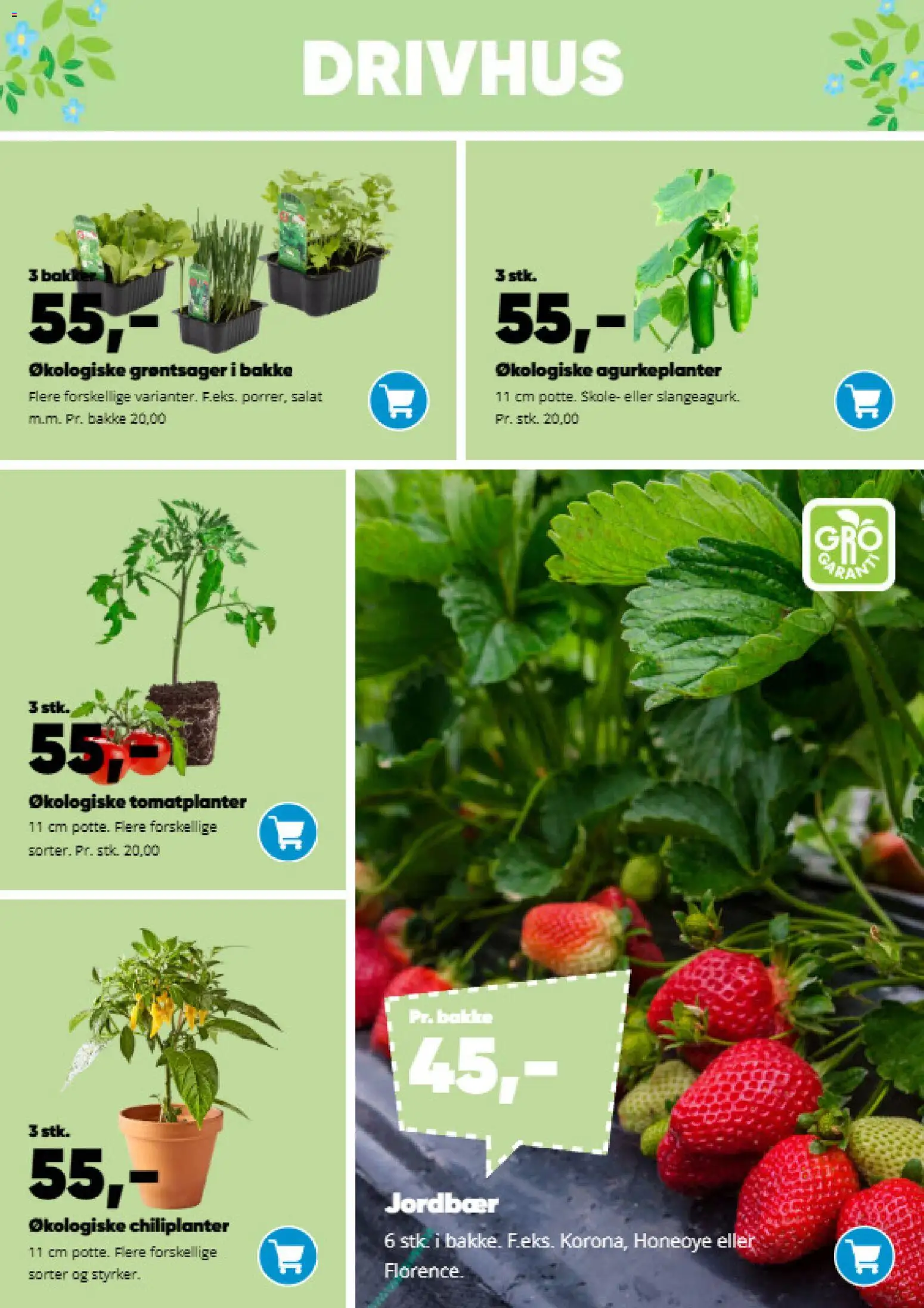 Bilka tilbudsavis – gyldig fra 09.03.2026 | Side: 28 | Produkter: Jordbær, Salat