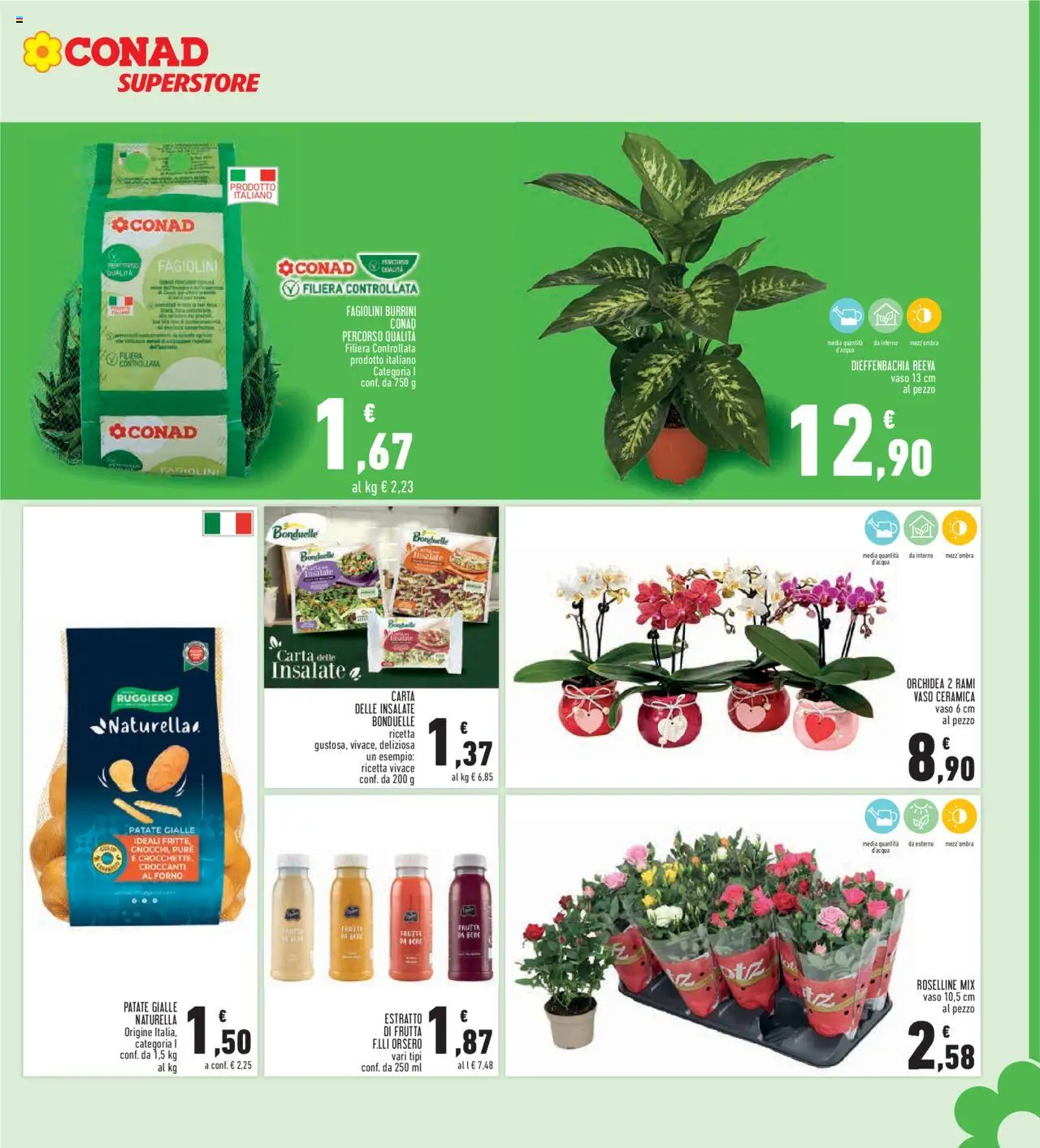 Volantino Conad del 11.09.2025 | Pagina: 7 | Prodotti: Patate, Frutta, Orchidea, Vaso