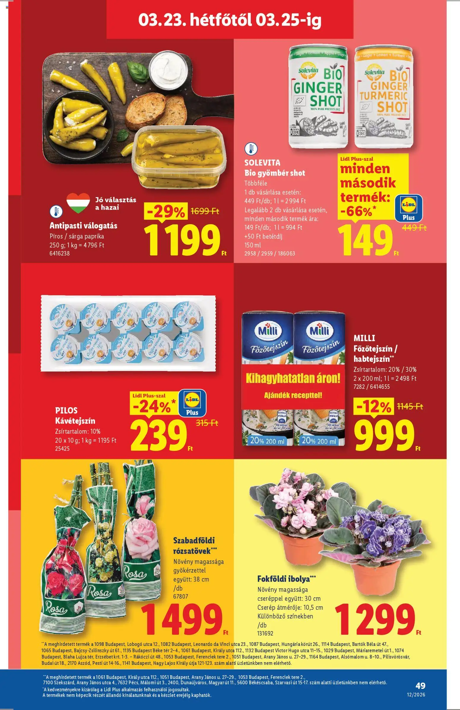 Lidl akciós ujság - amely érvényes a következő dátumtól: 19.03.2026 | Oldal: 49 | Termékek: Kávétejszín, Főzőtejszín, Antipasti, Gyömbér shot